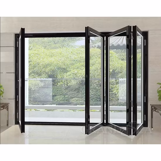 Nfrc Nafs Amerikanischer Standard, moderne deutsche Hardware, maßgeschneiderte Eingangssturmtüren, thermische Trennung, Aluminium, Aluminium, Metall, kommerzielle Bi